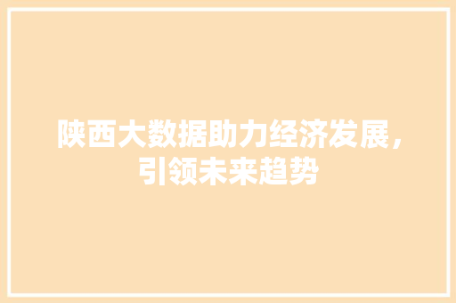 陕西大数据助力经济发展，引领未来趋势