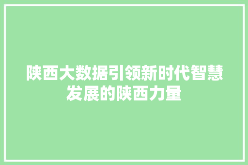 陕西大数据引领新时代智慧发展的陕西力量