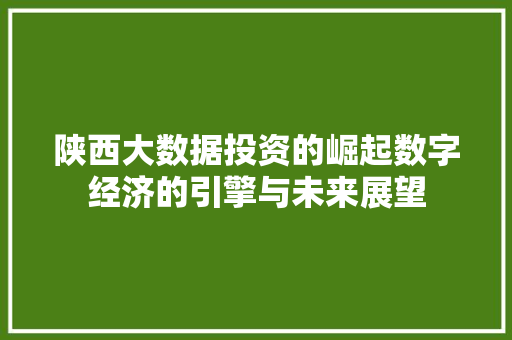 陕西大数据投资的崛起数字经济的引擎与未来展望