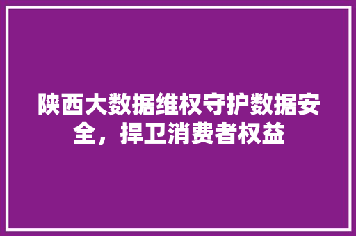 陕西大数据维权守护数据安全，捍卫消费者权益
