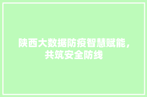 陕西大数据防疫智慧赋能，共筑安全防线