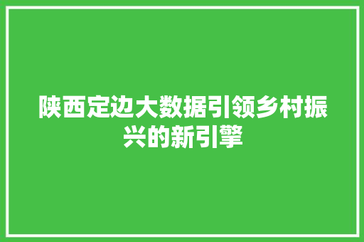 陕西定边大数据引领乡村振兴的新引擎
