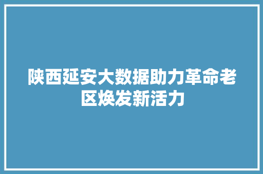 陕西延安大数据助力革命老区焕发新活力