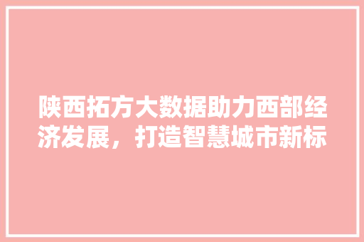 陕西拓方大数据助力西部经济发展，打造智慧城市新标杆