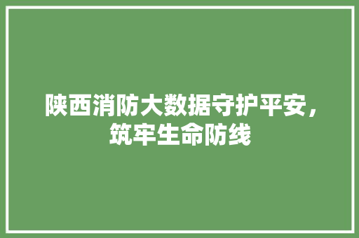 陕西消防大数据守护平安,筑牢生命防线 陕西消防大数据守护平安,筑牢生命防线