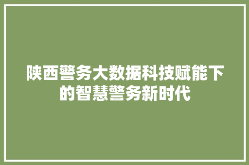 陕西警务大数据科技赋能下的智慧警务新时代 陕西警务大数据科技赋能下的智慧警务新时代