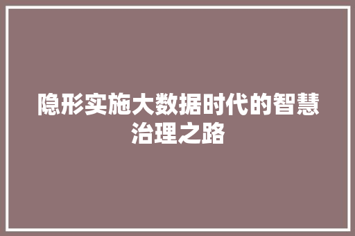 隐形实施大数据时代的智慧治理之路