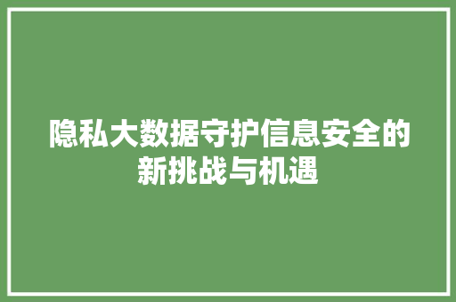隐私大数据守护信息安全的新挑战与机遇