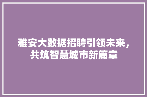 雅安大数据招聘引领未来，共筑智慧城市新篇章