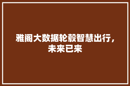 雅阁大数据轮毂智慧出行,未来已来 雅阁大数据轮毂智慧出行,未来已来