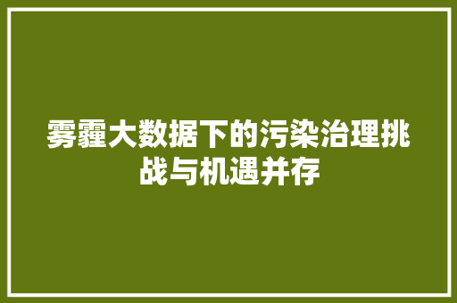 雾霾大数据下的污染治理挑战与机遇并存