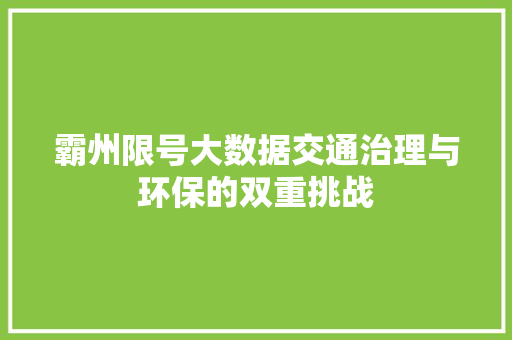 霸州限号大数据交通治理与环保的双重挑战