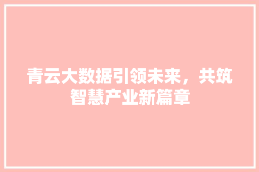 青云大数据引领未来，共筑智慧产业新篇章