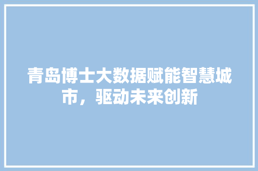 青岛博士大数据赋能智慧城市，驱动未来创新