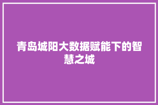 青岛城阳大数据赋能下的智慧之城