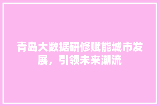 青岛大数据研修赋能城市发展，引领未来潮流 电脑基础