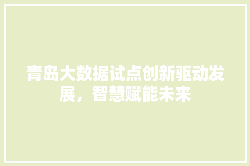 青岛大数据试点创新驱动发展，智慧赋能未来