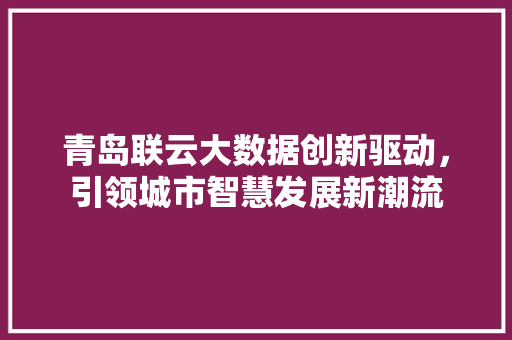 青岛联云大数据创新驱动，引领城市智慧发展新潮流