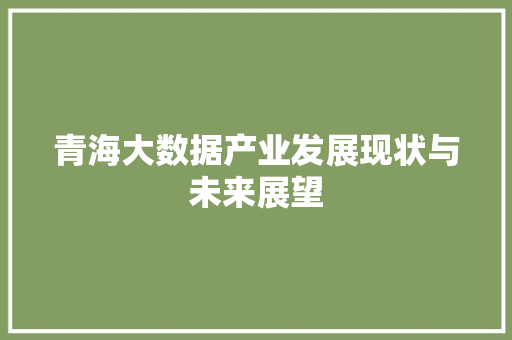 青海大数据产业发展现状与未来展望 操作系统