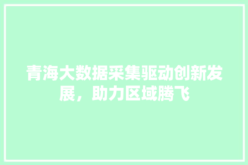 青海大数据采集驱动创新发展，助力区域腾飞