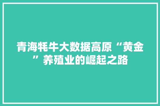 青海牦牛大数据高原“黄金”养殖业的崛起之路
