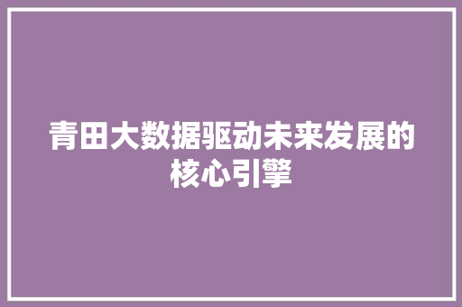 青田大数据驱动未来发展的核心引擎 网络技术