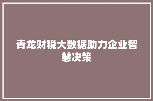 青龙财税大数据助力企业智慧决策