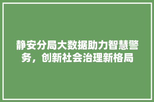 静安分局大数据助力智慧警务，创新社会治理新格局