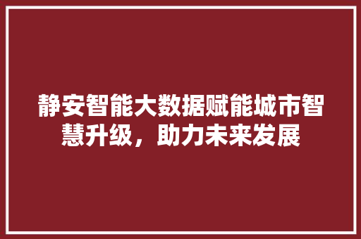 静安智能大数据赋能城市智慧升级，助力未来发展