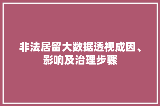 非法居留大数据透视成因、影响及治理步骤