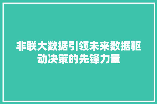 非联大数据引领未来数据驱动决策的先锋力量