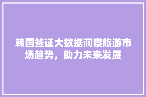 韩国签证大数据洞察旅游市场趋势，助力未来发展