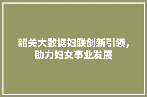 韶关大数据妇联创新引领，助力妇女事业发展