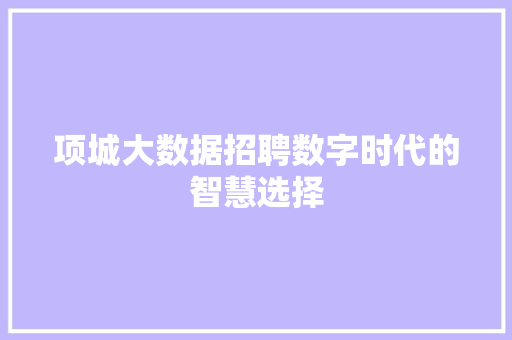 项城大数据招聘数字时代的智慧选择