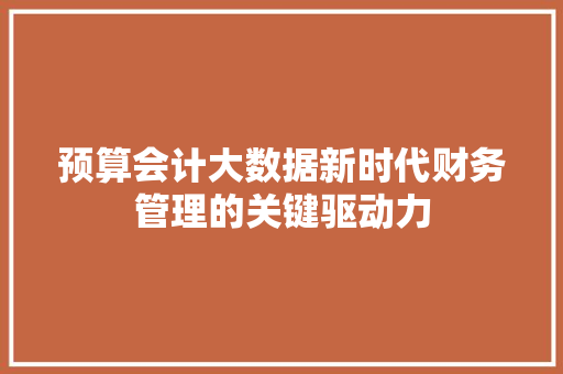 预算会计大数据新时代财务管理的关键驱动力