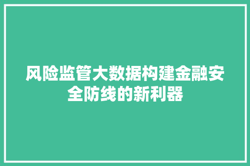 风险监管大数据构建金融安全防线的新利器