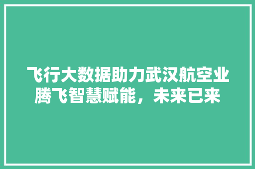 飞行大数据助力武汉航空业腾飞智慧赋能，未来已来