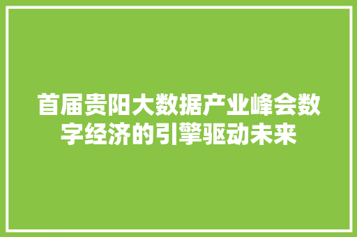 首届贵阳大数据产业峰会数字经济的引擎驱动未来