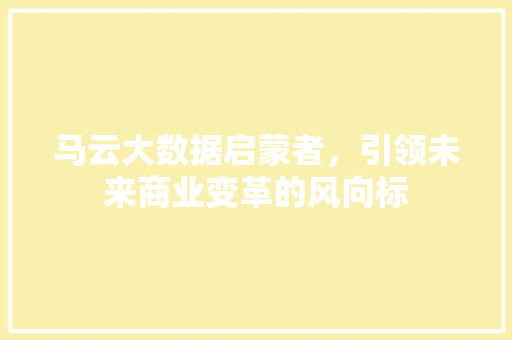 马云大数据启蒙者，引领未来商业变革的风向标