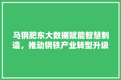 马钢肥东大数据赋能智慧制造，推动钢铁产业转型升级