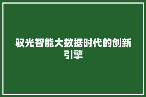 驭光智能大数据时代的创新引擎