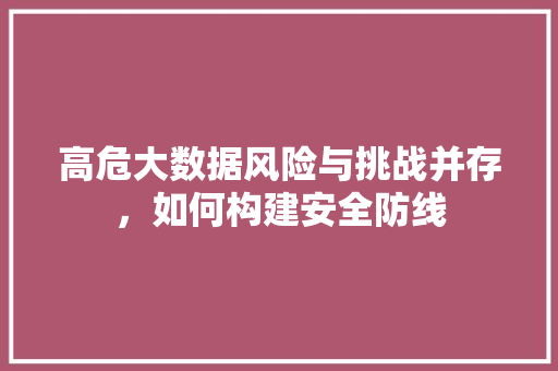 高危大数据风险与挑战并存，如何构建安全防线