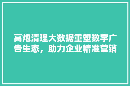 高炮清理大数据重塑数字广告生态，助力企业精准营销