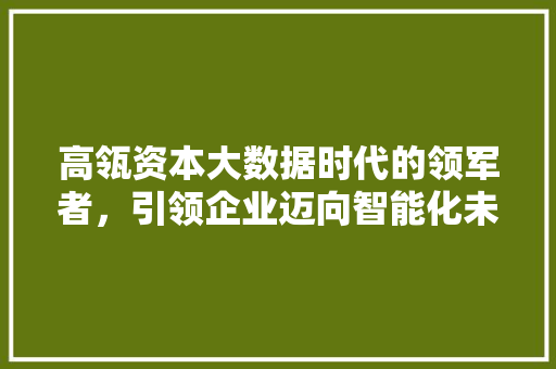 高瓴资本大数据时代的领军者，引领企业迈向智能化未来