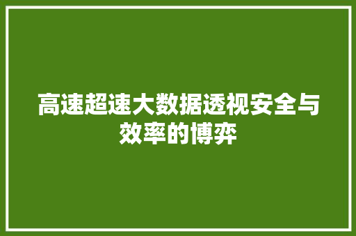 高速超速大数据透视安全与效率的博弈 编程语言