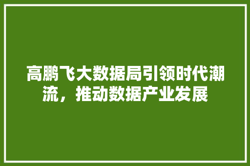 高鹏飞大数据局引领时代潮流，推动数据产业发展