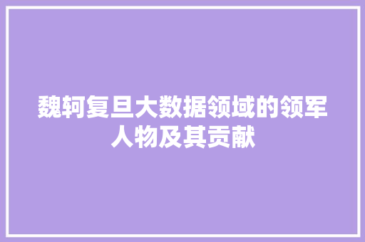 魏轲复旦大数据领域的领军人物及其贡献