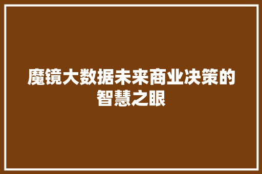 魔镜大数据未来商业决策的智慧之眼