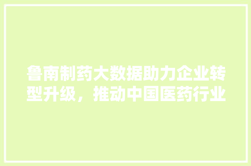 鲁南制药大数据助力企业转型升级，推动中国医药行业高质量发展