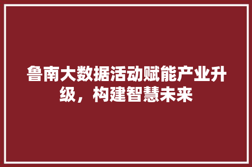 鲁南大数据活动赋能产业升级，构建智慧未来